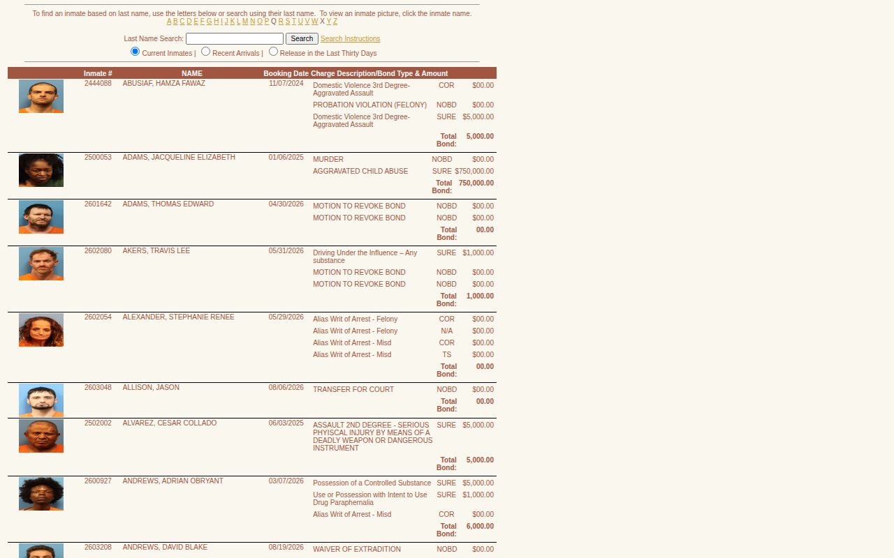 Shelby County official inmate listing search with current, recent arrival, and release modes